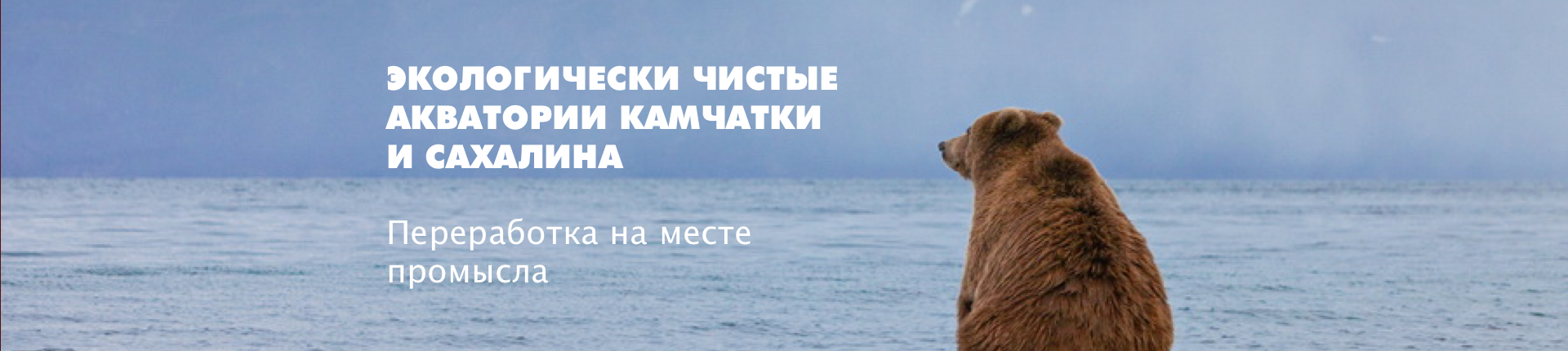 СВЕЖИЙ УЛОВ 2026