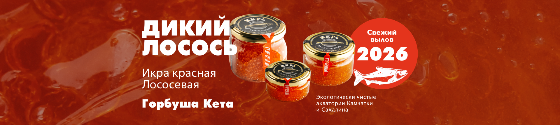 СВЕЖИЙ УЛОВ 2026